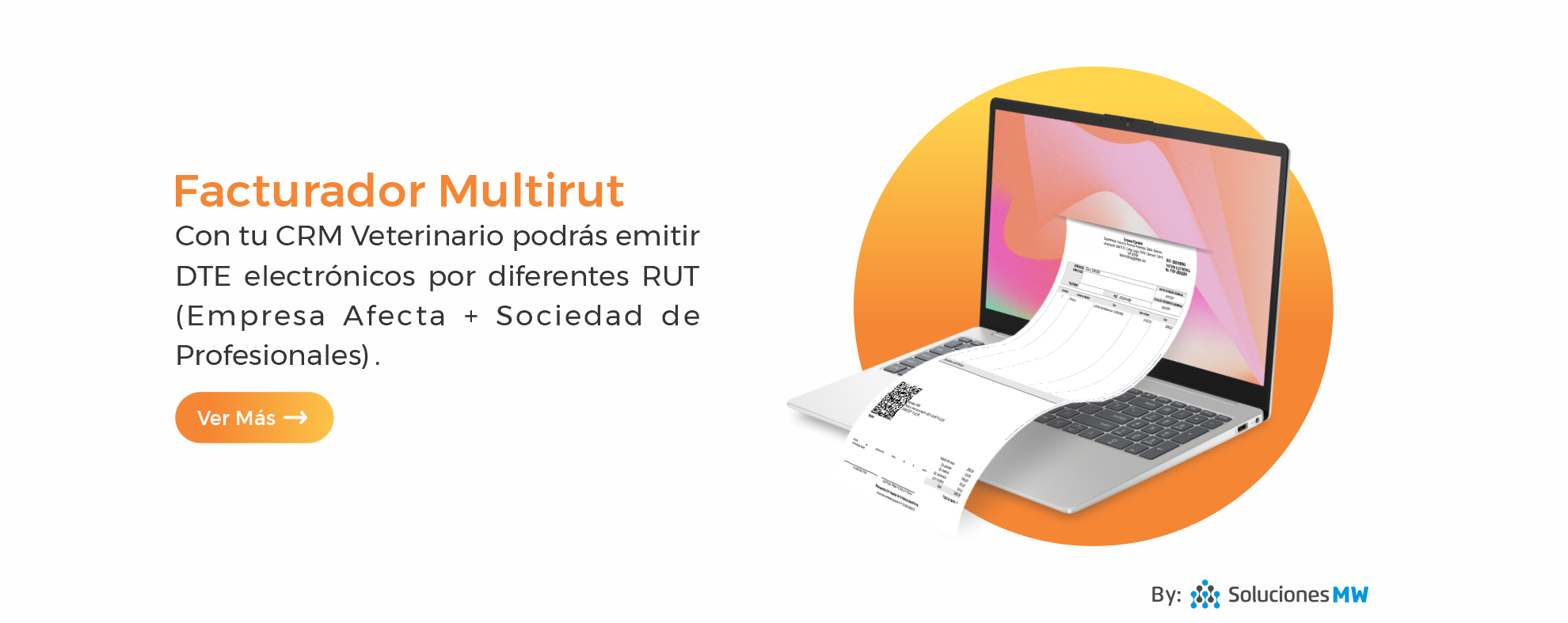 banner multirut